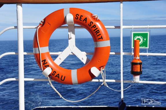 Um verdadeiro mar de comandante na nossa travessia da Drake passage, entre a Antártida e a América do Sul